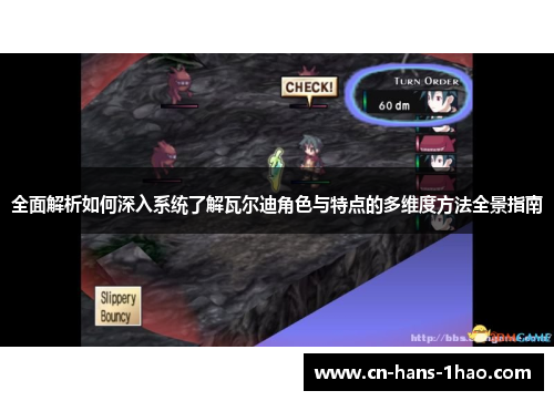 全面解析如何深入系统了解瓦尔迪角色与特点的多维度方法全景指南